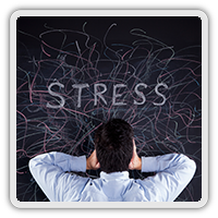 Comprehensive Chiropractic Care in San Francisco